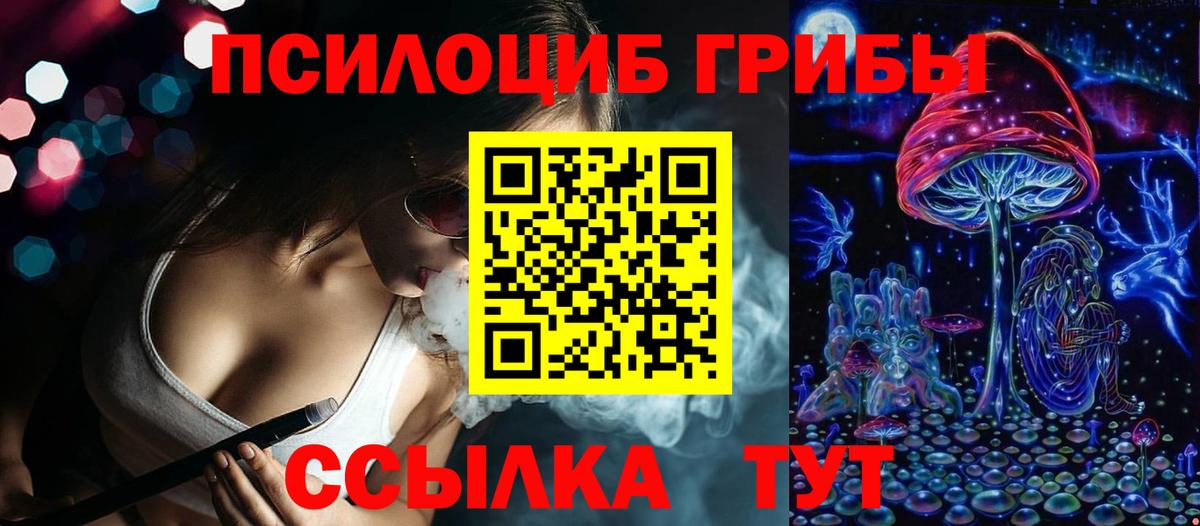 сколько стоит  Вход с VPN  Шелехов  Псилоцибиновые грибы прущие грибы 